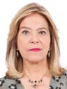 Foto do deputado Lêda Borges