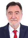 Foto do deputado Patrus Ananias